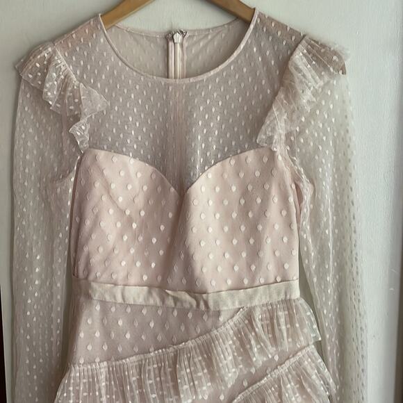 BCBGMAXAZRIA Pleated Tulle Mini Dress in Regal Champagne - Picture 4 of 16